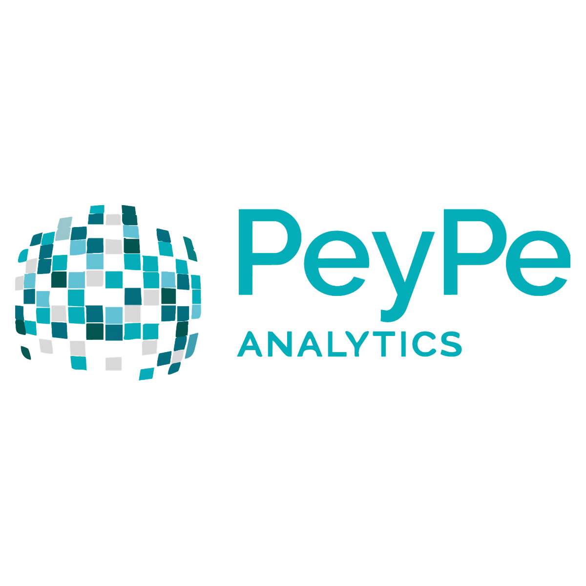 PeyPe Analytics